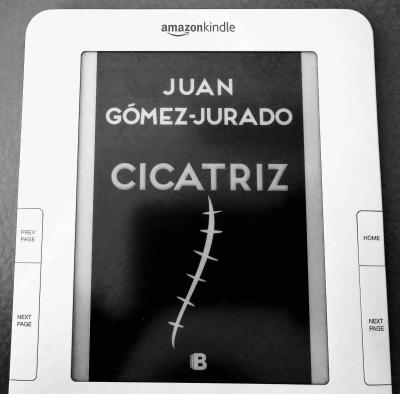 Libros: ¨Cicatriz¨ -Juan Gómez-Jurado-