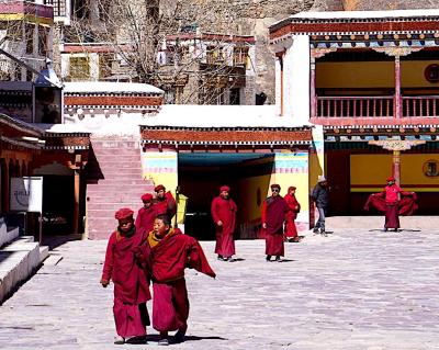Trip to Ladakh  Contact in Leh.