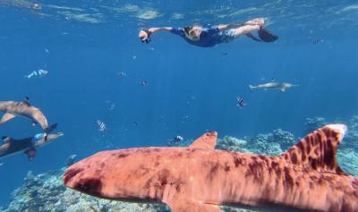 Viaje a Fiyi. 22-25 de marzo de 2026