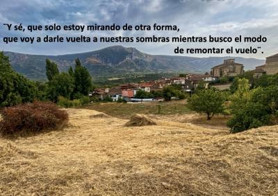 &uml;... mientras busco el modo de remontar el vuelo&uml;.